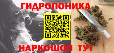 скорость Гусь-Хрустальный