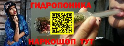 скорость Гусь-Хрустальный