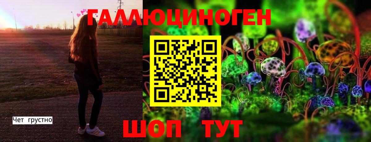 Псилоцибиновые грибы Psilocybine cubensis Набережные Челны