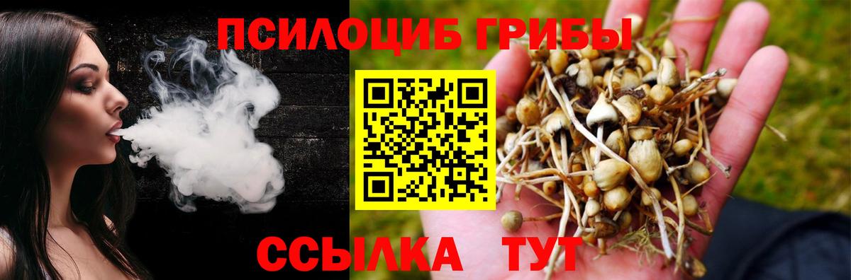 Набережные Челны  Псилоцибиновые грибы Psilocybine cubensis  Псилоцибиновые грибы прущие грибы  Вход с VPN 